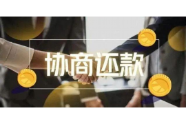 南丹为什么选择专业追讨公司来处理您的债务纠纷？